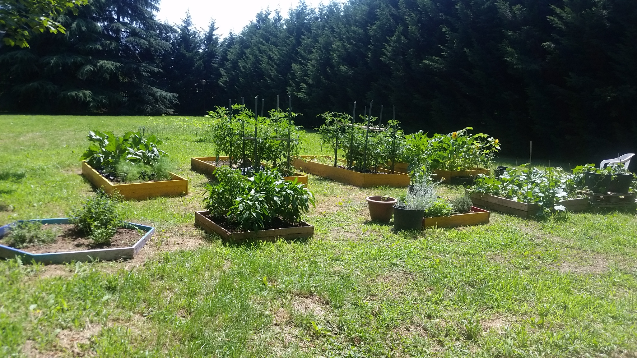 Con Noi e Dopo Di Noi